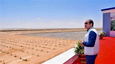 السيدخيرالله يرصد : الزراعة في 8 ســـــــــنوات انجازات غير مسبوقة وإهتمام كبير من الرئيس السيسي