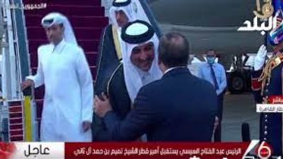 لحظة استقبال الرئيس السيسي لأمير دولة قطر (فيديو)