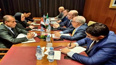 نيفين جامع: توافق الرؤى بين الحكومتين المصرية والجزائرية لتوسيع أطر التعاون الاقتصادي المشترك  