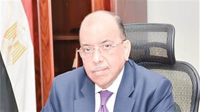 التنمية المحلية: القيادة السياسية توجه بدعم الدول الأفريقية وتوفير التدريب 