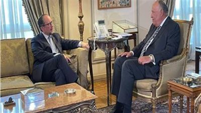 سامح شكري يستقبل نظيره النمساوي لبحث سبل التعاون