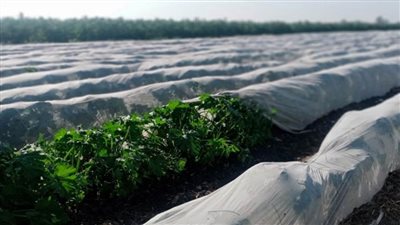 وزير الري يتفقد مشروعات الموارد المائية والري بمحافظتي الدقهلية وكفر الشيخ (صور)