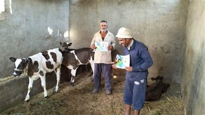 صندوق التأمين على الثروة الحيوانية يشارك في الحملة القومية للحمى القلاعية