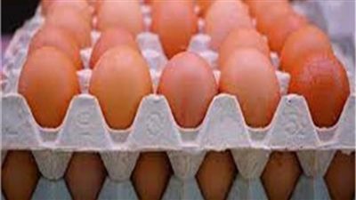 ارتفاع أسعار البيض اليوم 15 يوليو