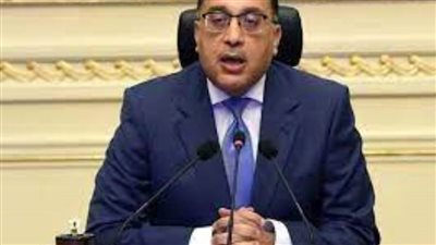 الوزراء: 27% من المصريين يتسوقون عبر الهواتف المحمولة