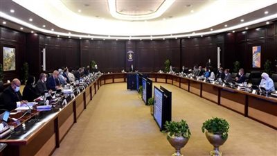 د. خالد عبد الغفار يستعرض تقرير الحالة الوبائية في مصر (صور)