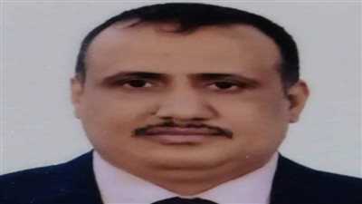 رئيس مركز «البحر الأحمر للدراسات»: المخابرات الإيرانية تشن حربا ضروسا على الأراضي اليمنية