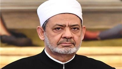 شيخ الأزهر: نعتز بعلاقتنا مع الإمارات لخدمة القضايا العلمية والفكرية 