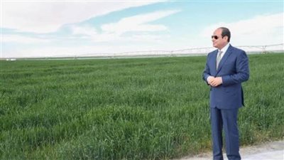 السيسي يتابع مشروعات استصلاح الأراضي في توشكي