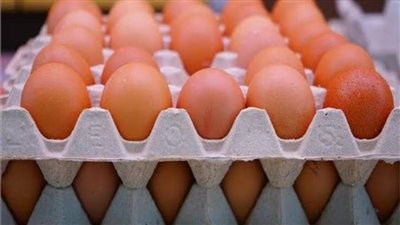 انخفاض أسعار البيض السبت 6 أغسطس 2022 