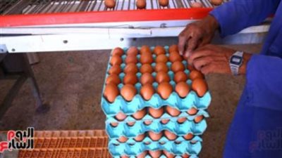 بعد تراجع سعره.. ننشر أسعار كرتونة البيض الأحمر والأبيض والبلدي