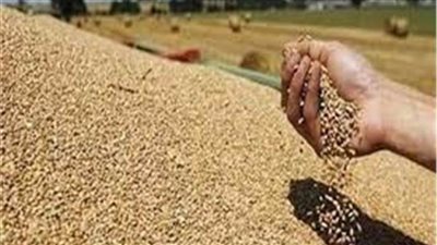 منظمة الفاو: انخفاض أسعار السلع الغذائية عالميًا لأدنى مستوى لها منذ 10 شهور 