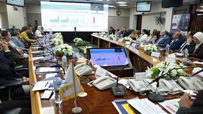 معلومات الوزراء يناقش غدًا مستهدفات وثيقة 