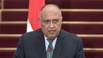 «شكري» والمبعوث الصيني يؤكدان على مواصلة الجهود لمواجهة تغير المناخ 