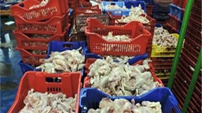 مباحث التموين تضبط 20 طن دواجن وهياكل مجهولة المصدر بالجيزة 