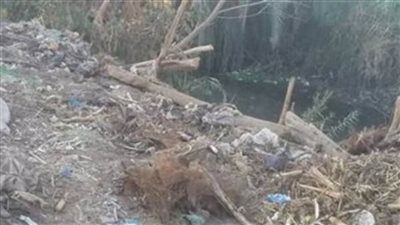 دار الإفتاء: تلويث مياه الأنهار والترع حرام شرعا