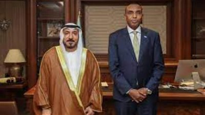 رئيس الوزراء الصومالي يبحث مع السفير الإماراتي تعزيز التعاون الثنائي