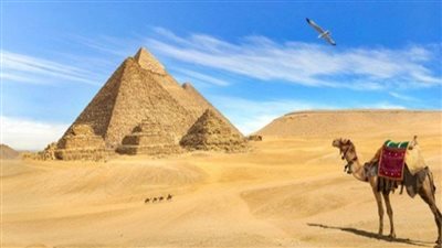 عاجل | تعديل القانون الخاص بتنظيم عمل شركات السياحة والسفر؟.. الحكومة توضح الحقيقة