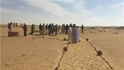 البيئة: الانتهاء من برنامج الإرشاد السياحى البيئي بالسفارى بمحميات الفيوم  