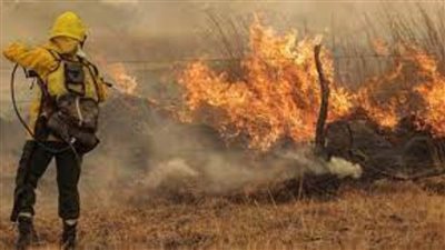 جهود مكثفة للجيش اللبناني والدفاع المدني لإخماد حريق في غابات صنوبر