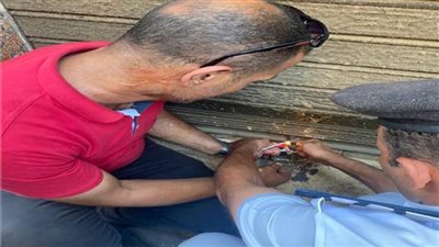 حملات إشغالات الجيزة ترفع 700 حالة وغلق 5 محلات بدون ترخيص 