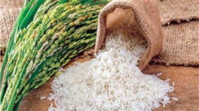 وزير التموين يحظر تخزين الأرز .. تعرف على التفاصيل 