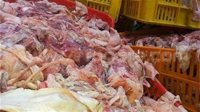مباحث التموين تضبط 2 طن دواجن وهياكل مجهولة المصدر بالجيزة 