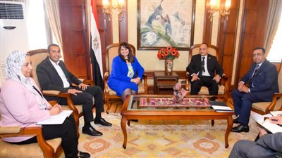 وزيرا خارجية مصر والهند يبحثان دفع العلاقات الثنائية وتعزيز آليات التشاور والتنسيق