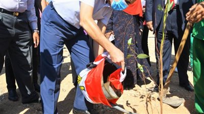 تنفيذاً للمبادرة الرئاسية ١٠٠ مليون شجرة..محافظ الغربية يشهد غرس ٤٠٠ شجرة في الطريق الدولي بطنطا وقطور