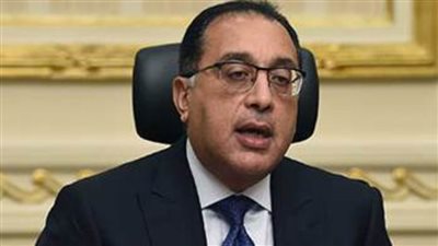 الحكومة: إطلاق تطبيق إلكتروني للمصريين بالخارج.. قريباً 