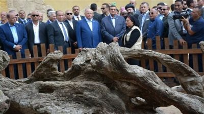 وزيرا السياحة والتنمية المحلية ومحافظ القاهرة يفتتحون منطقة شجرة مريم إحدى نقاط رحلة العائلة المقدسة (صور)