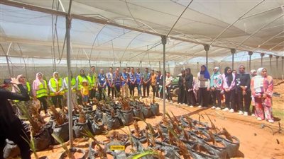 أذربيجان تعلن تسليم جثامين 32 جندياً إلى أرمينيا