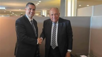 شكرى يؤكد لوزير خارجية مالطا على عمق العلاقات الثنائية بين البلدين