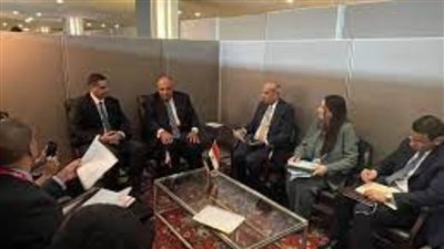 الجزائر تعرب عن تضامنها مع النيجر إثر الخسائر المادية والبشرية جراء الفيضانات