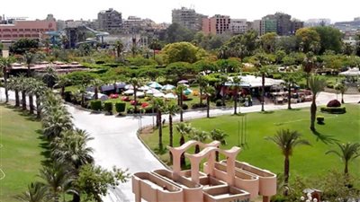 عاجل | حقيقة تجريف الحديقة الدولية بمدينة نصر وإزالة الأشجار النادرة بها لبيعها