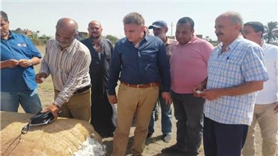 الزراعة: حملات لمكافحة العفن الهبابي في مزارع المانجو بالاسماعيلية  