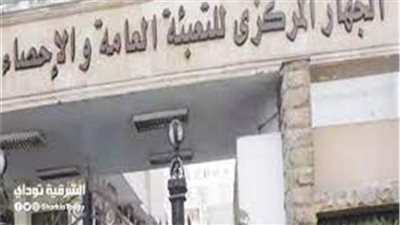 المركزي للإحصاء: 85,4 % نسبة ارتفاع أعداد السائحين خلال النصف الأول من عام 2022 