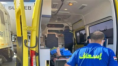 وزيرة الهجرة: وصول الشاب المصري المريض في موزمبيق إلى أرض الوطن لاستكمال العلاج بالقاهرة (صور)