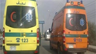 أمن الجيزة يتحفظ على لاعب شهير صدم شخص على طريق الإسكندرية الصحراوي 