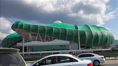  ملعب كرة قدم على شكل تمساح  