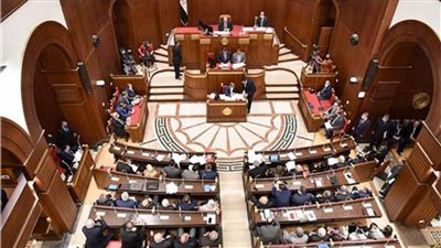 تضامن الشيوخ: الحوار الوطني مهم لتعزيز الاستثمار في بناء قدرات الشباب 