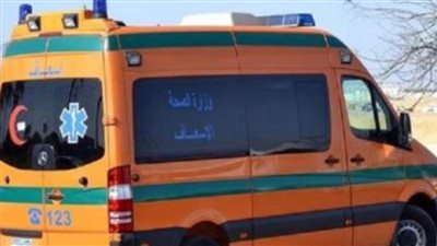 كلب مسعور يصيب 7 أشخاص فى إحدى قرى المنيا