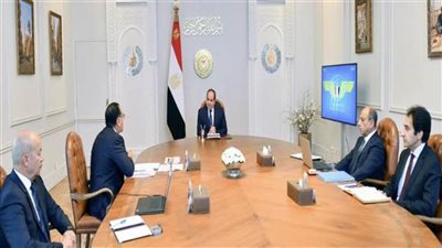 السيسي يوجه بتعزيز جهود النهوض بقطاع الطيران المدني وشركاته التابعة