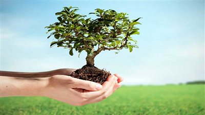 تدريب على تدوير المخلفات الزراعية وندوة للتوعية بقضايا المناخ في قنا