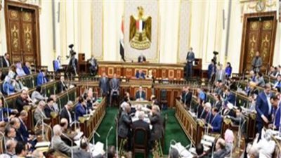 زراعة النواب تكشف تفاصيل حل أزمة الدواجن بالتنسيق مع مجلس الوزراء 