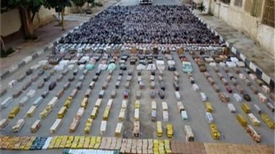 الداخلية تحبط تهريب 10 أطنان مخدرات بـ270 مليون جنيه