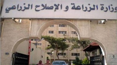 الزراعة: ضبط 11.9 طن لحوم وأسماك غير صالحة للاستهلاك الآدمي