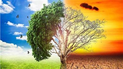 «البيئة»: نصف الكائنات الحية على وجه الأرض تأثرت بالتغيرات المناخية 