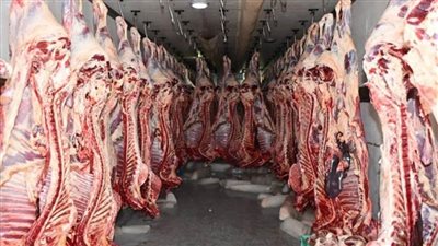 الأوقاف: توزيع 600 طن لحوم على الأولى بالرعاية طبقا لتوجيهات الرئيس