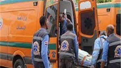 مصرع شخصين في إصطدام دراجتين بخاريتين بمركز بدر بالبحيرة 